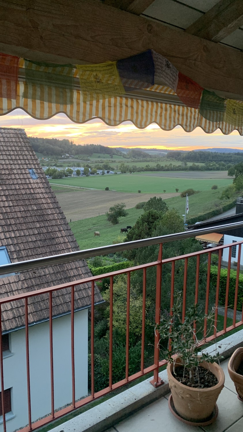 Appartement de 3 ½ pièces