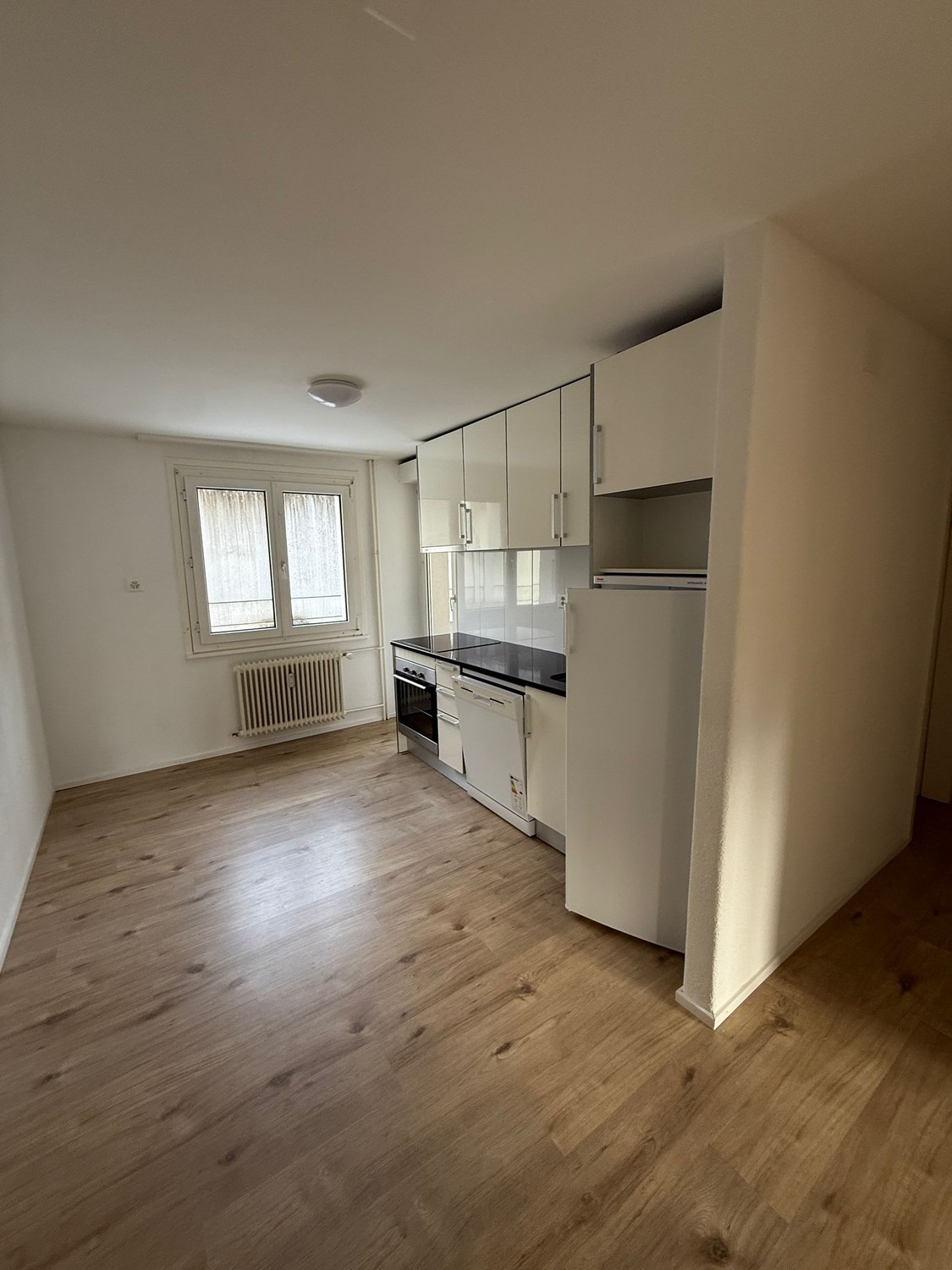 3 ½ rooms apartment, photo 6 sur 6