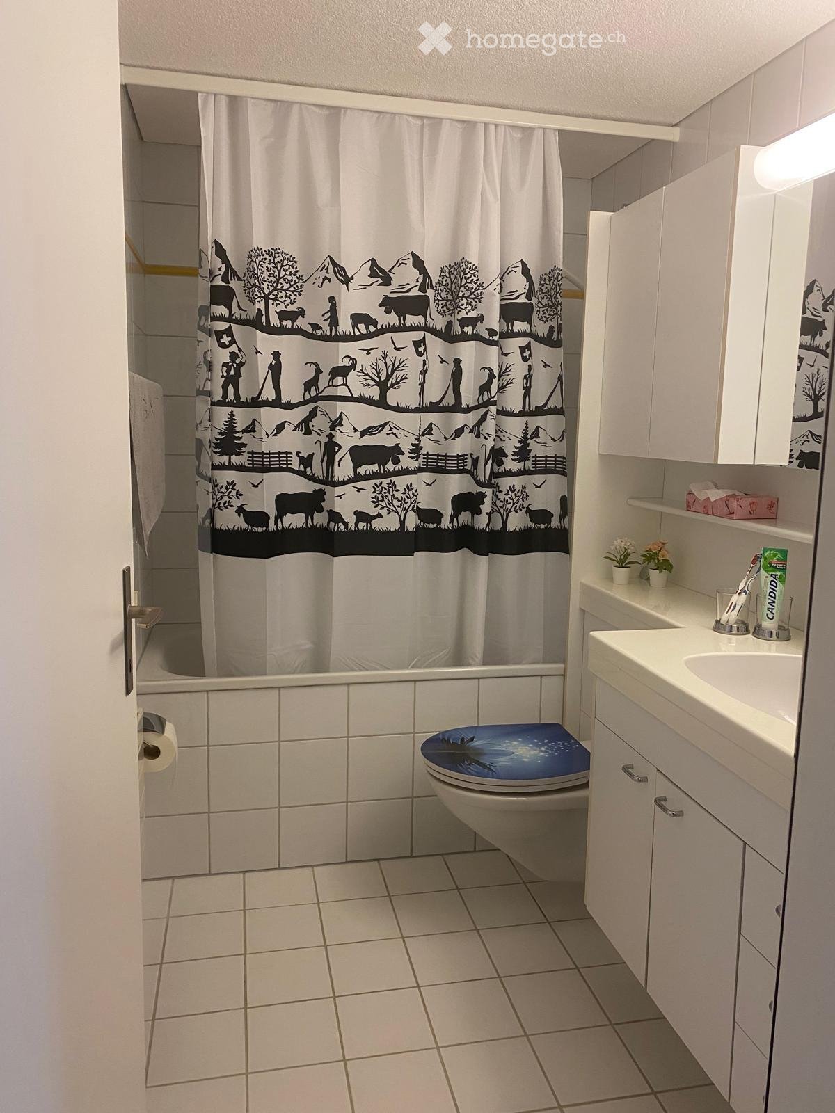 Appartement de 2 ½ pièces, photo 4 sur 5
