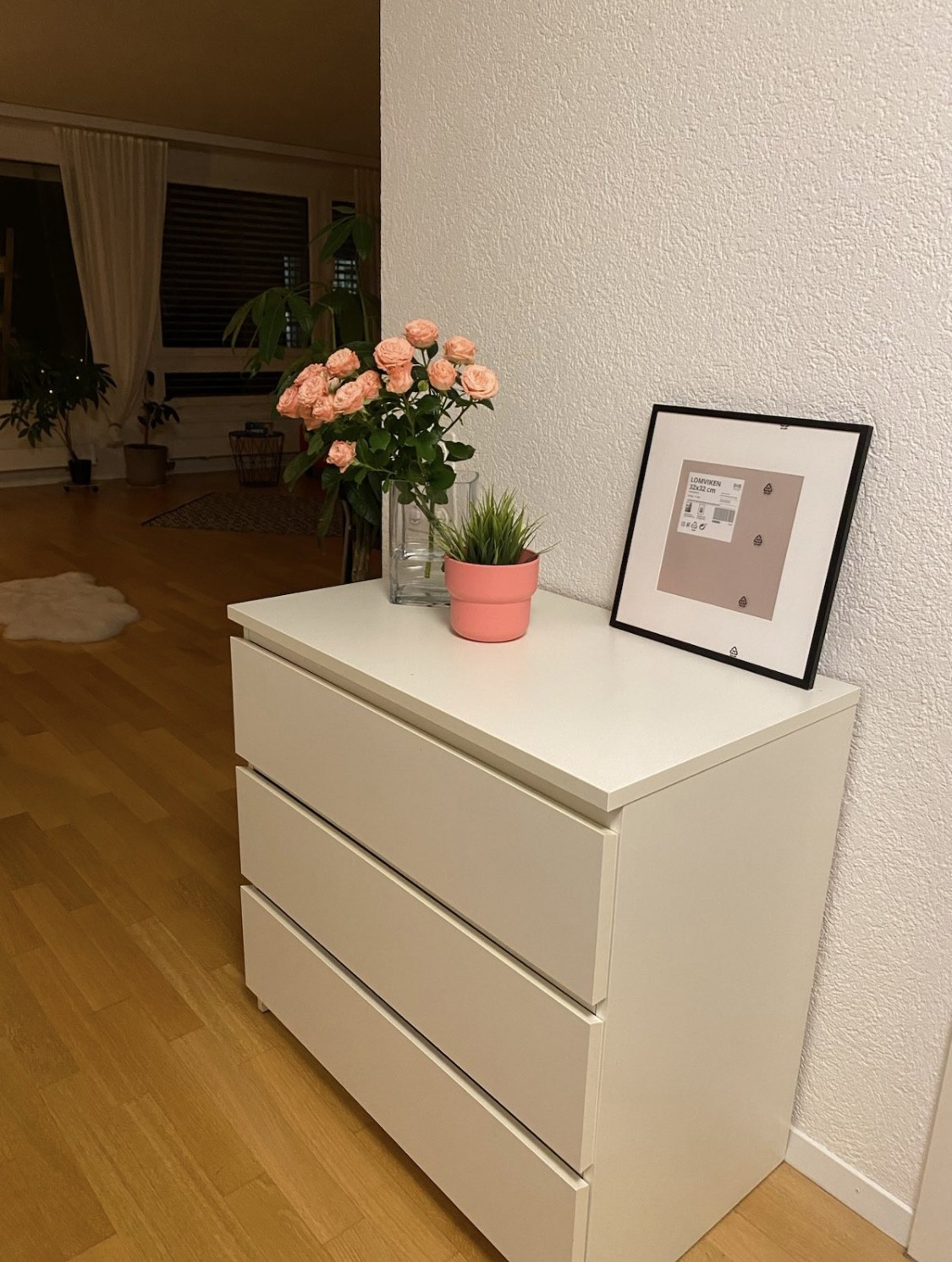 Appartement de 2 ½ pièces