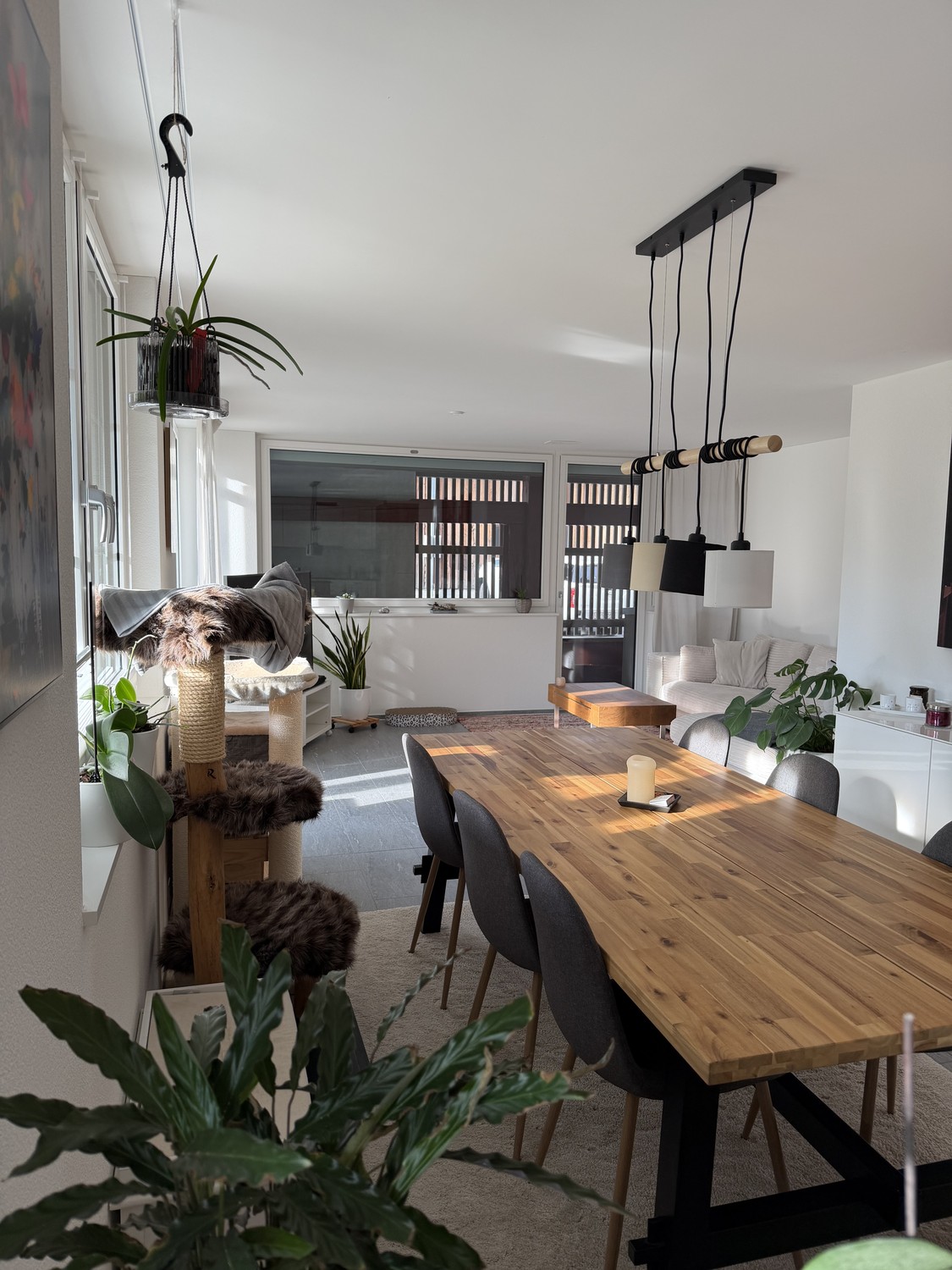 Appartement de 3 ½ pièces, photo 1 sur 10