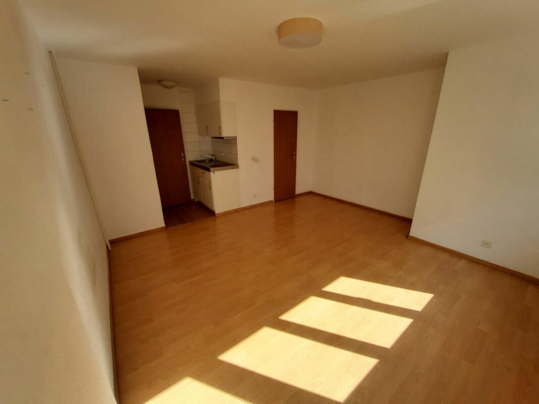 Appartement de 1 ½ pièce
