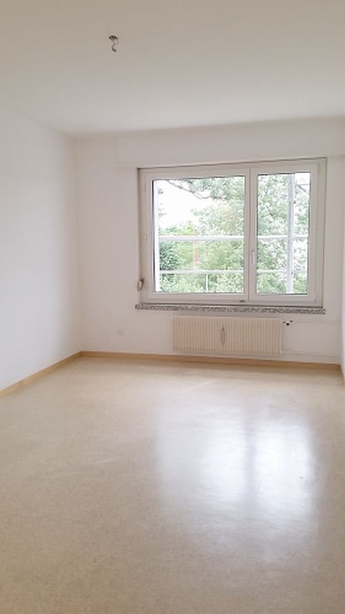 appartement 1 pièce, photo 3 sur 5