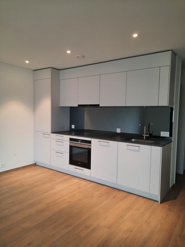 Appartement de 2 ½ pièces, photo 3 sur 9