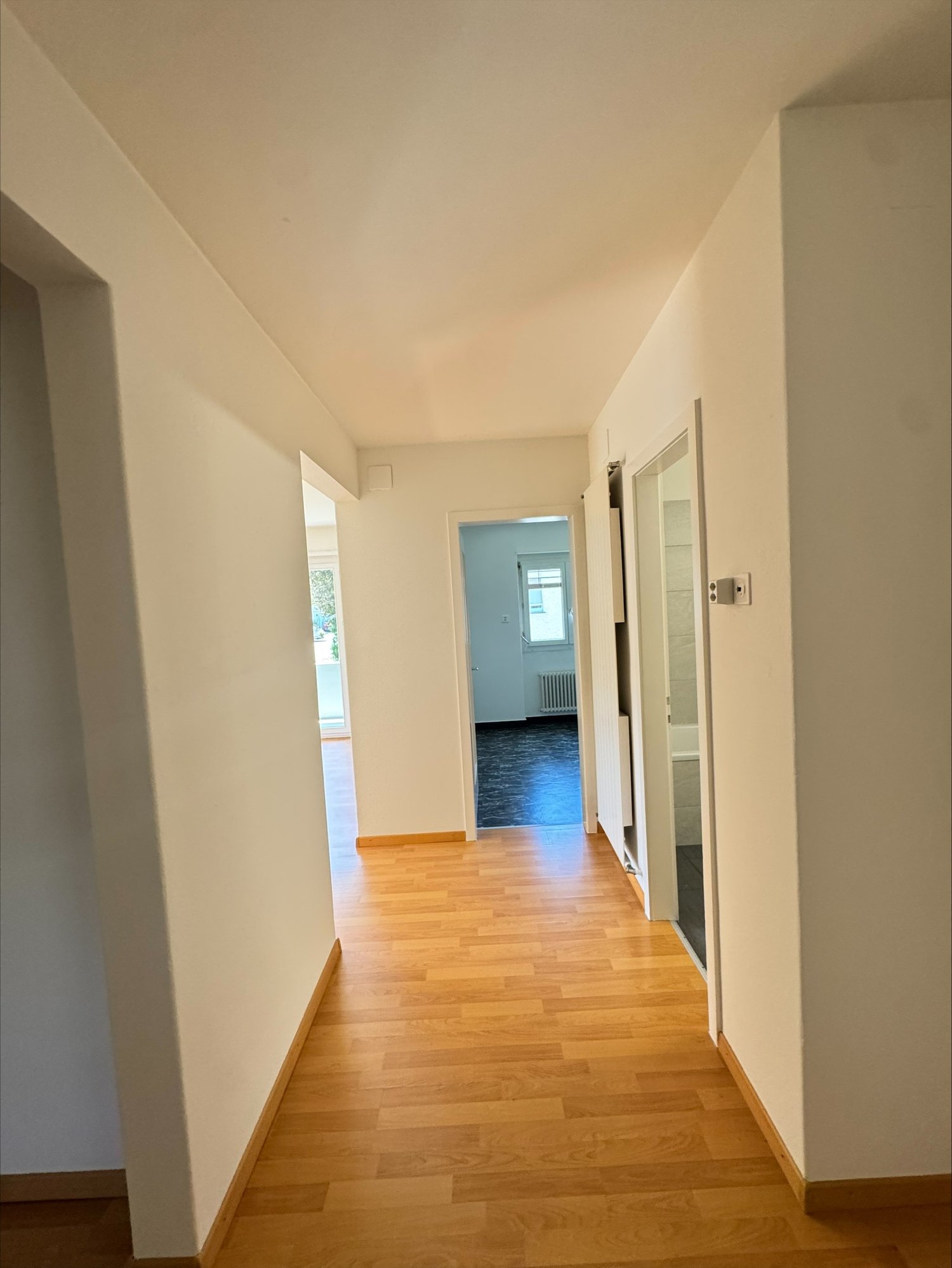 Appartement de 3 ½ pièces