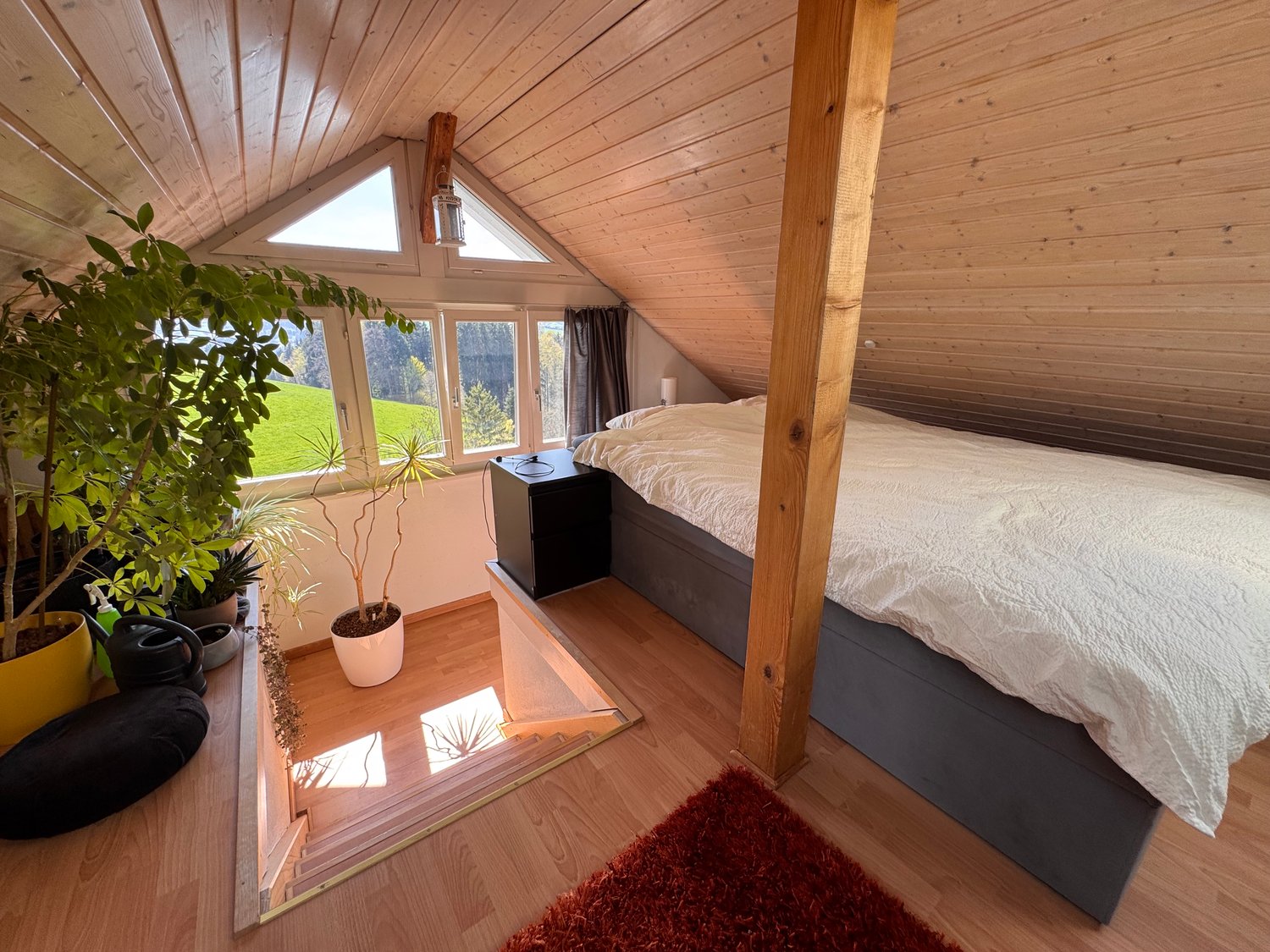 Appartement de 2 ½ pièces