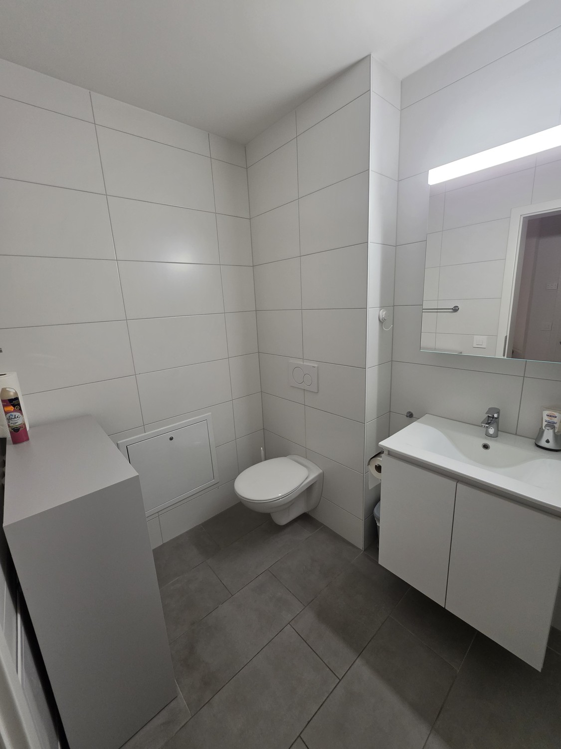Appartement de 2 ½ pièces, photo 6 sur 10
