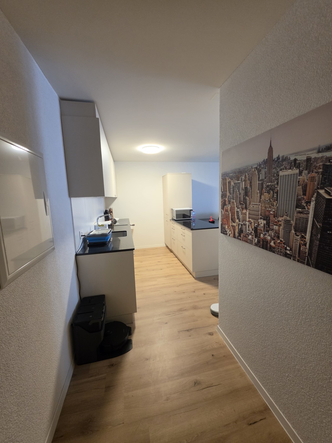 Appartement de 2 ½ pièces, photo 2 sur 10