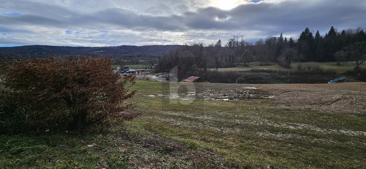 90000m² commercial land
