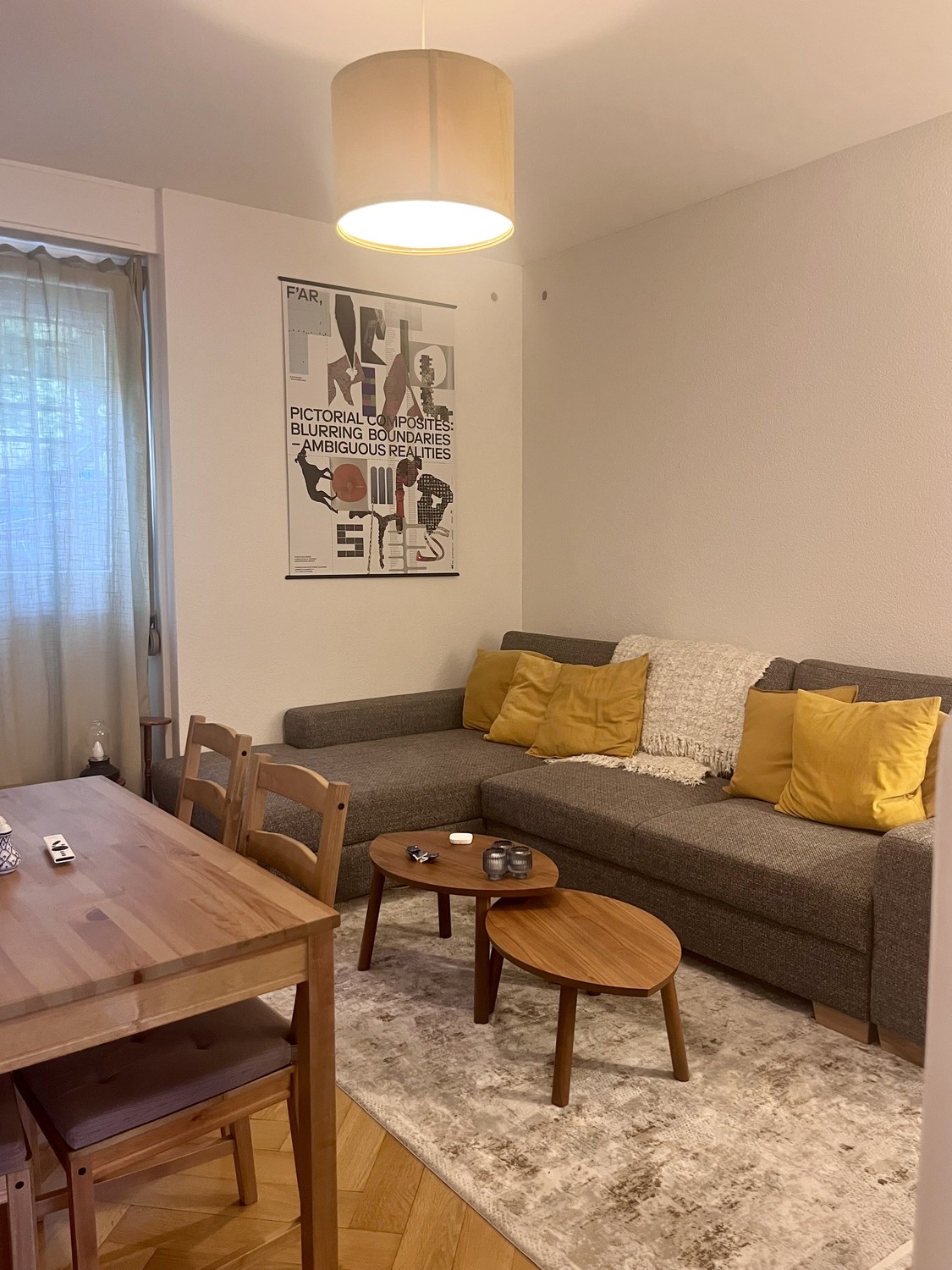 3 ½ rooms apartment, photo 5 sur 6