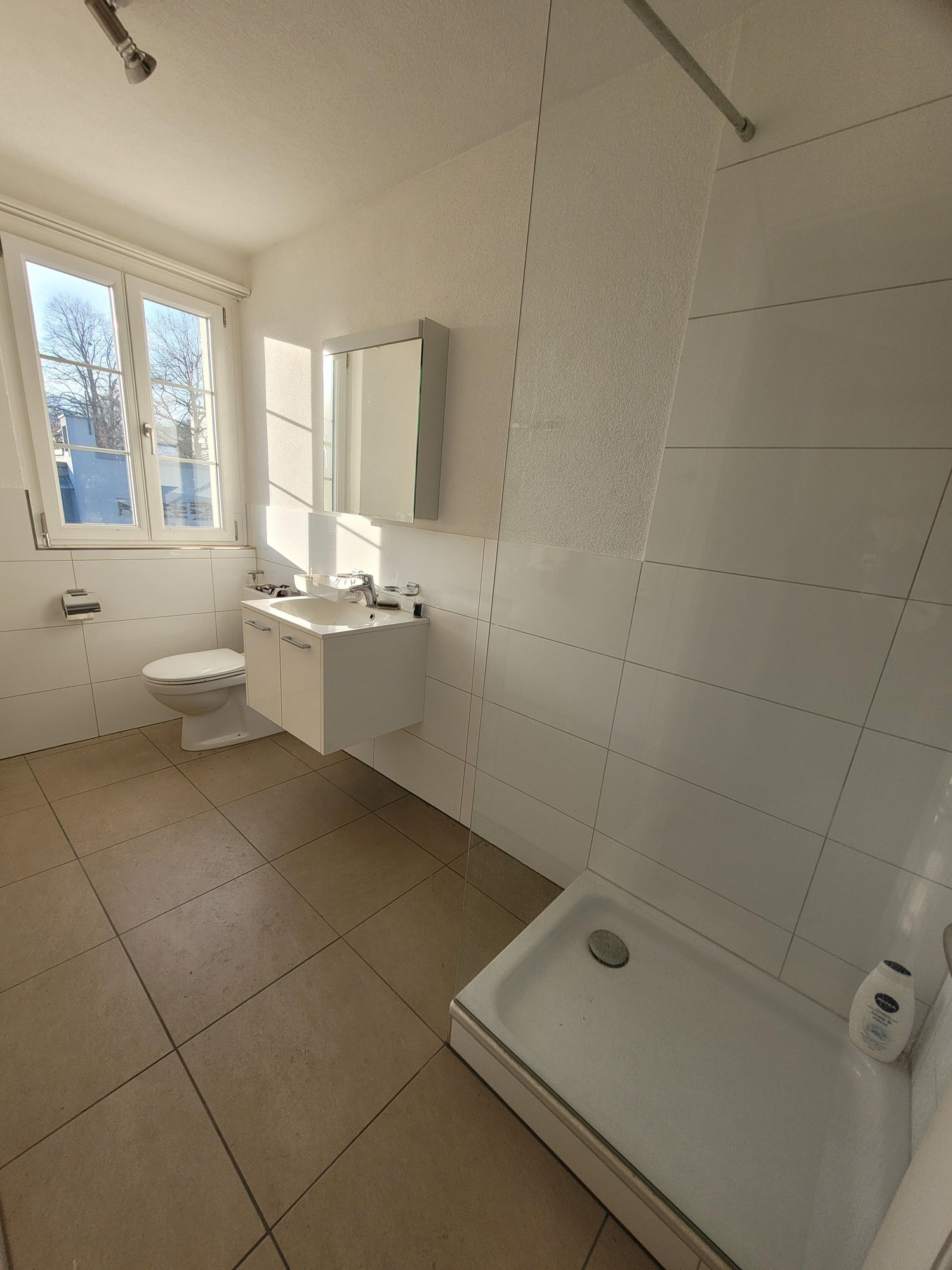 Appartement de 2 ½ pièces