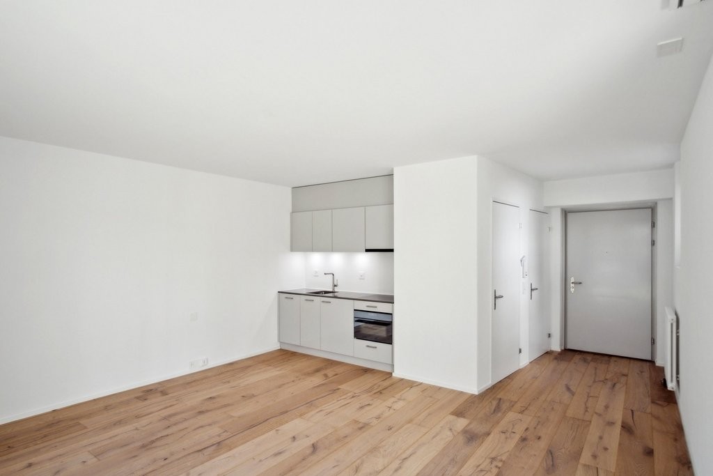 Appartement d'une pièce, photo 1 sur 3