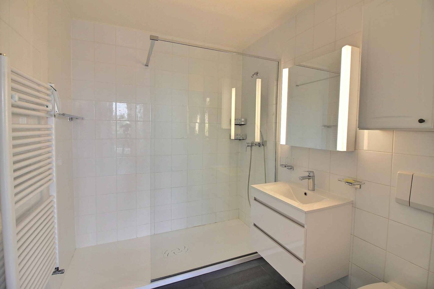 3 ½ rooms apartment, photo 8 sur 8
