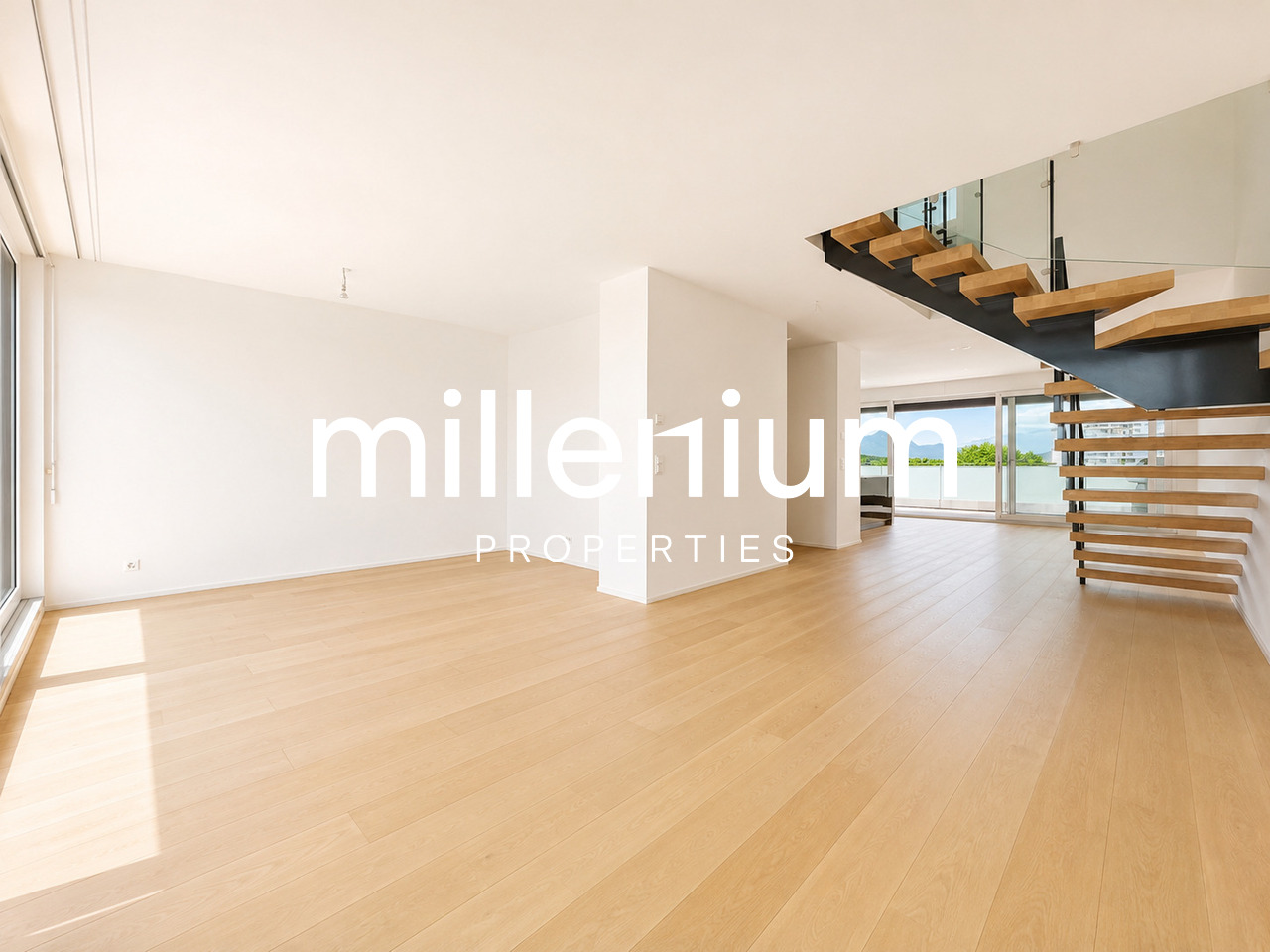 5 rooms duplex