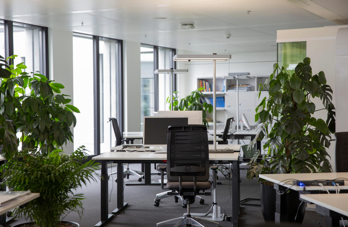 Office, photo 1 sur 4
