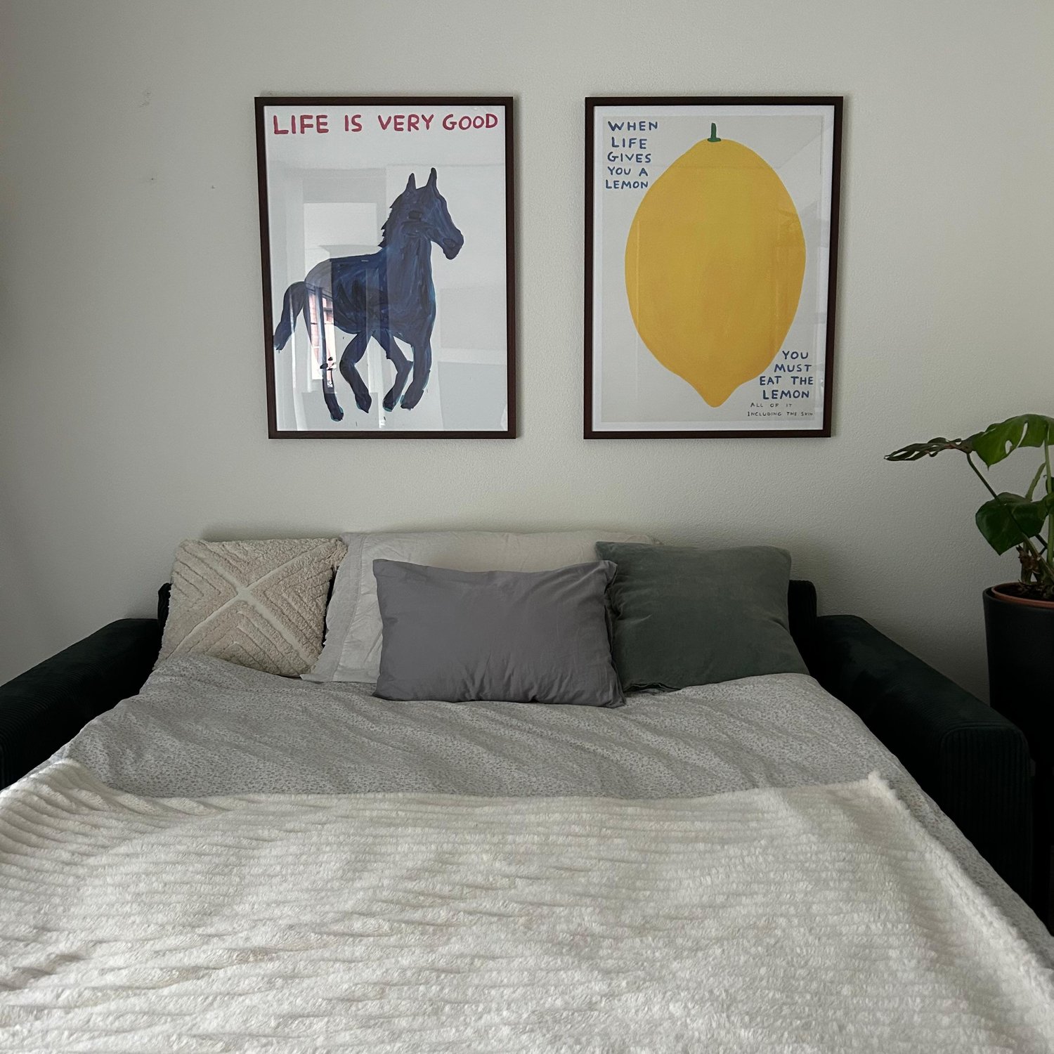 Chambre dans une colocation, photo 1 sur 4