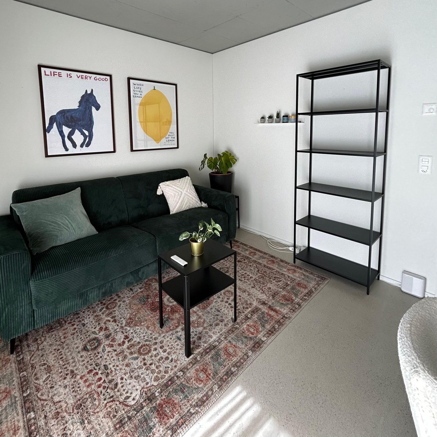 Chambre dans une colocation, photo 2 sur 4