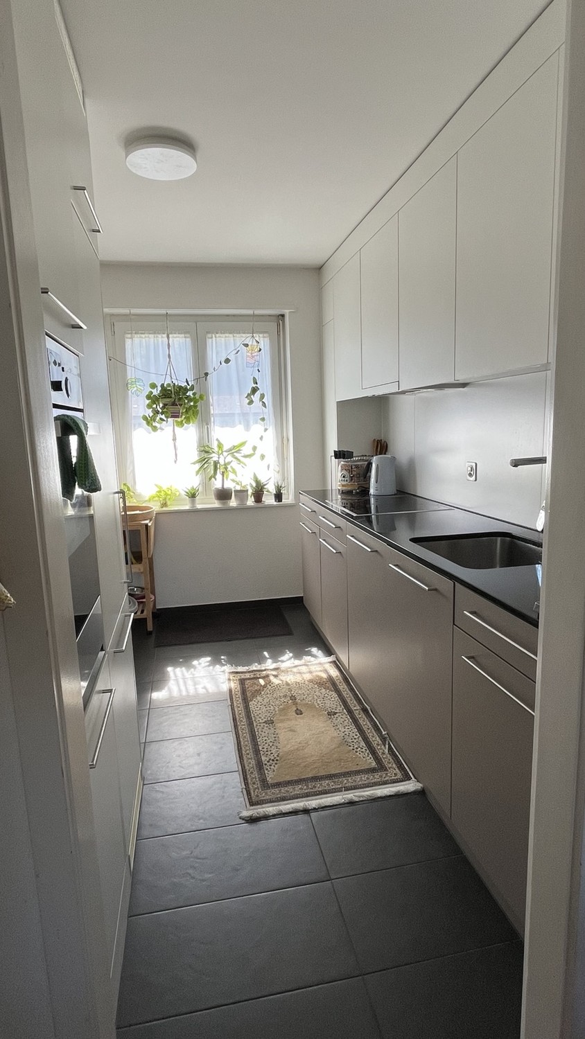 Appartement de 3 ½ pièces