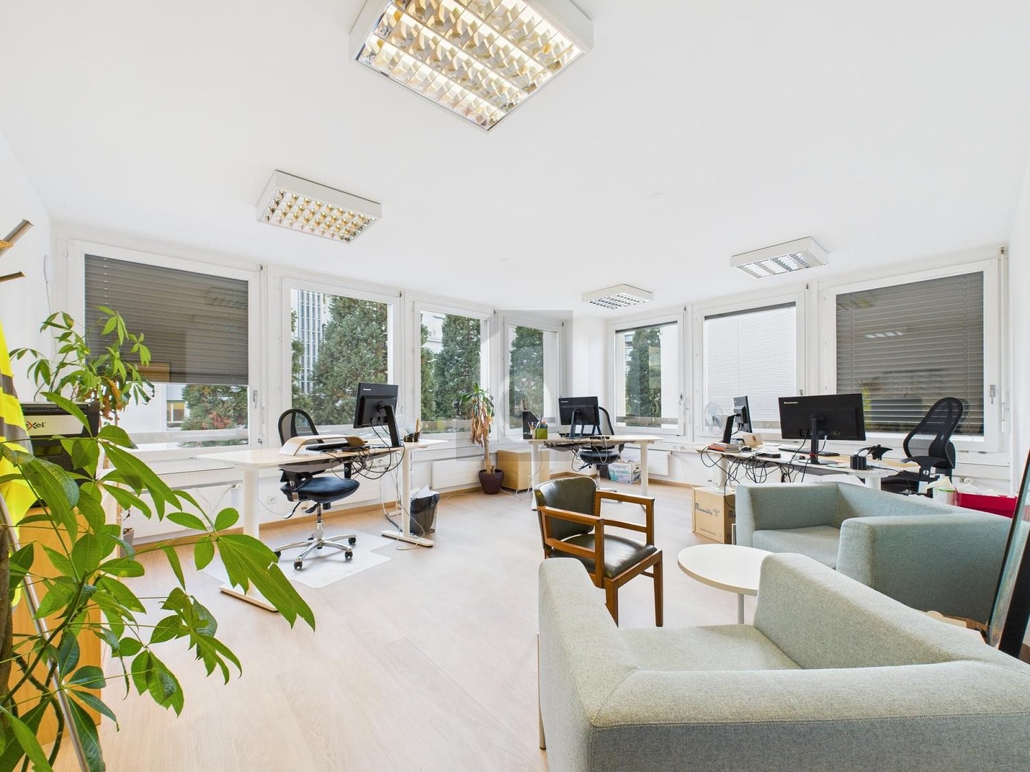 300m² office, photo 2 sur 4