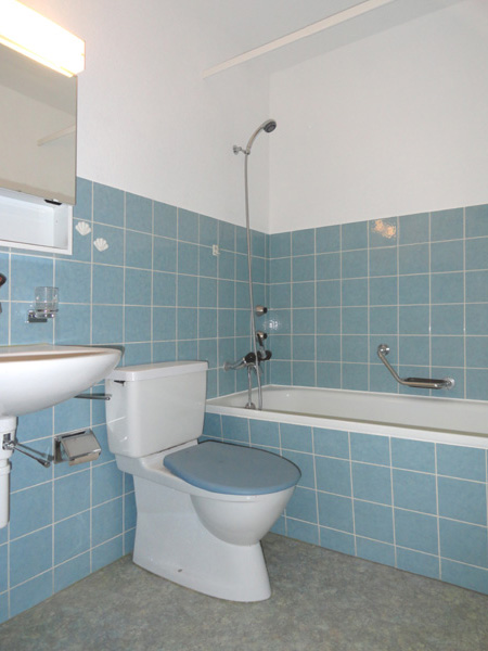 Appartement de 3 ½ pièces