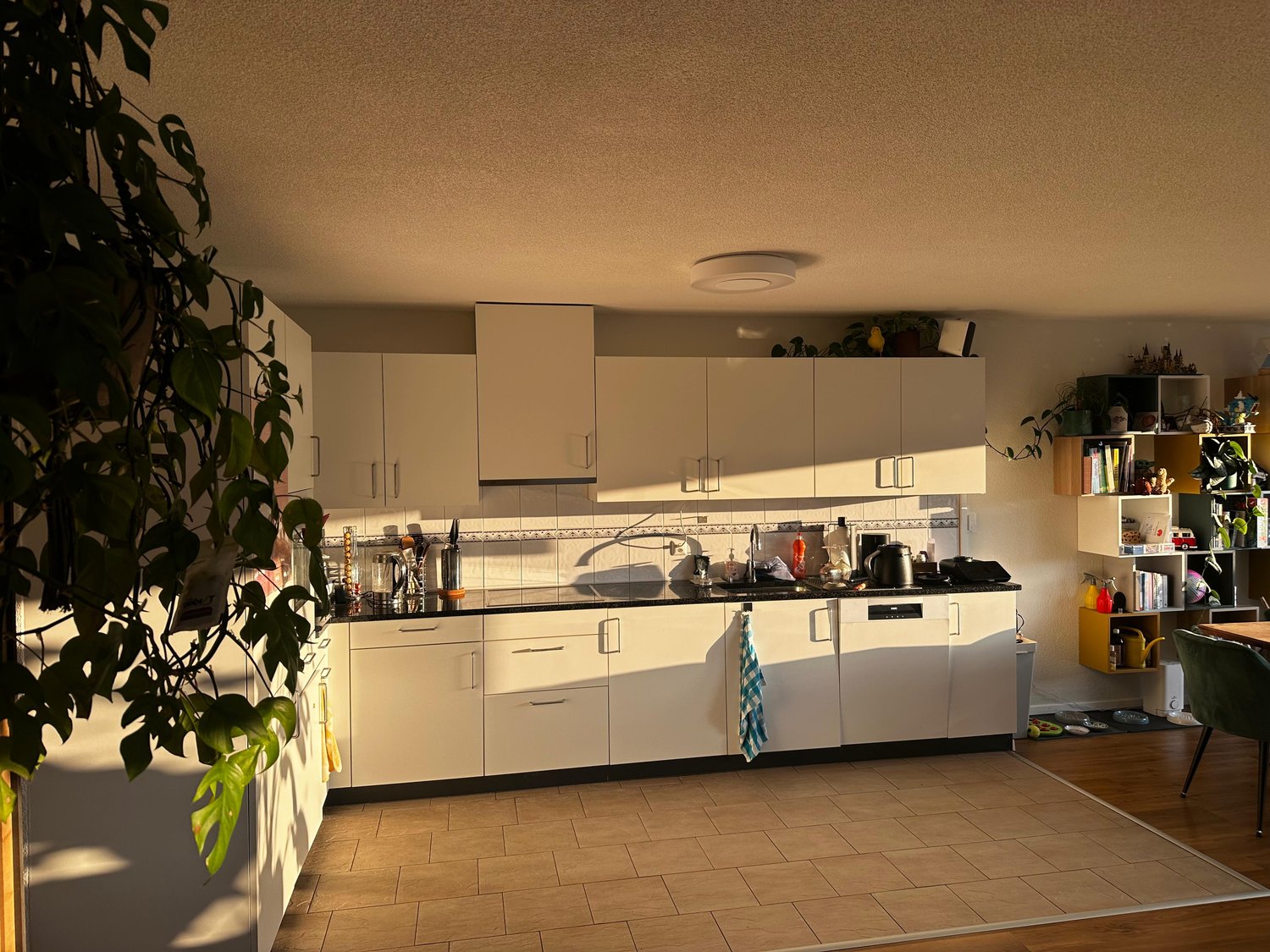 Chambre en colocation, photo 4 sur 9
