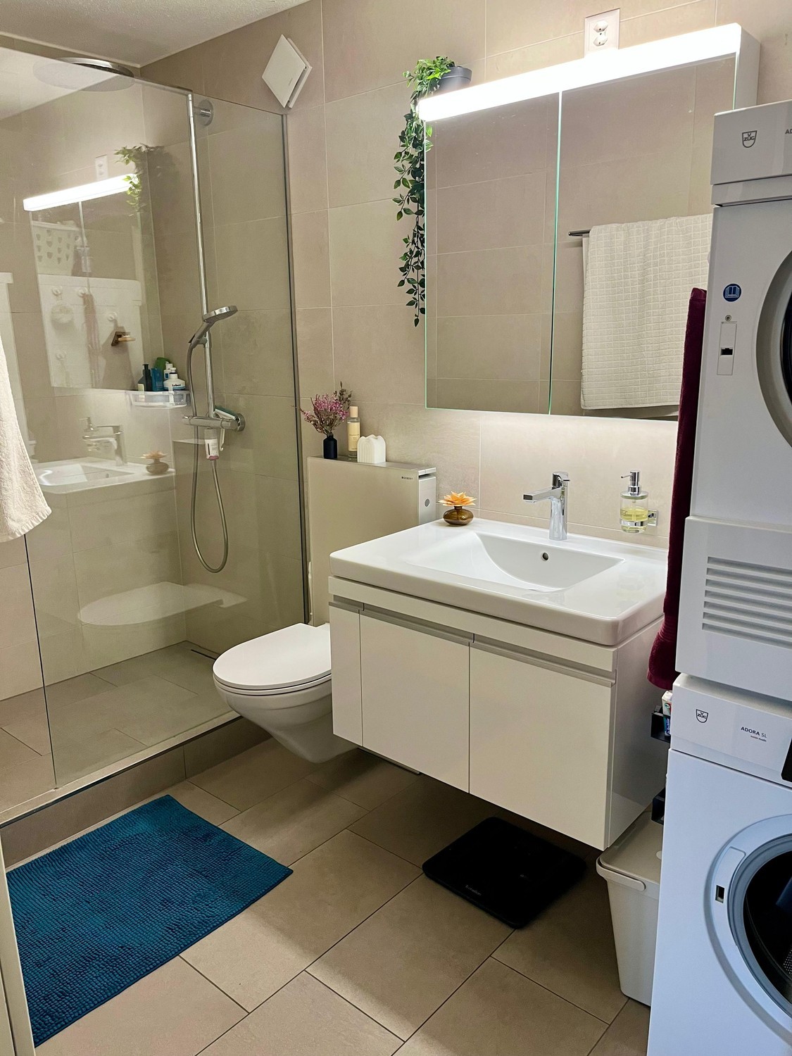 Appartement de 3 ½ pièces