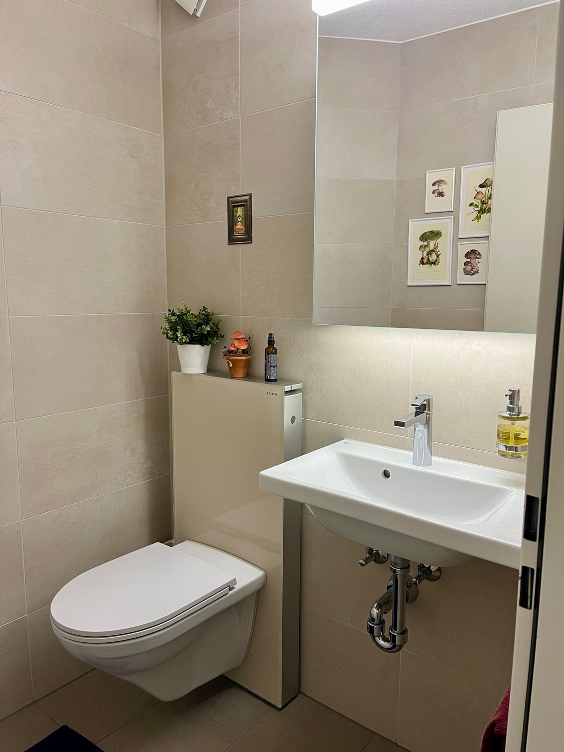 Appartement de 3 ½ pièces
