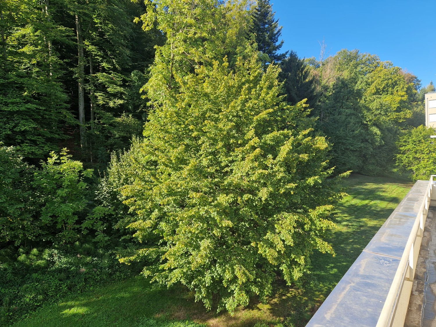 Appartement de 3 ½ pièces