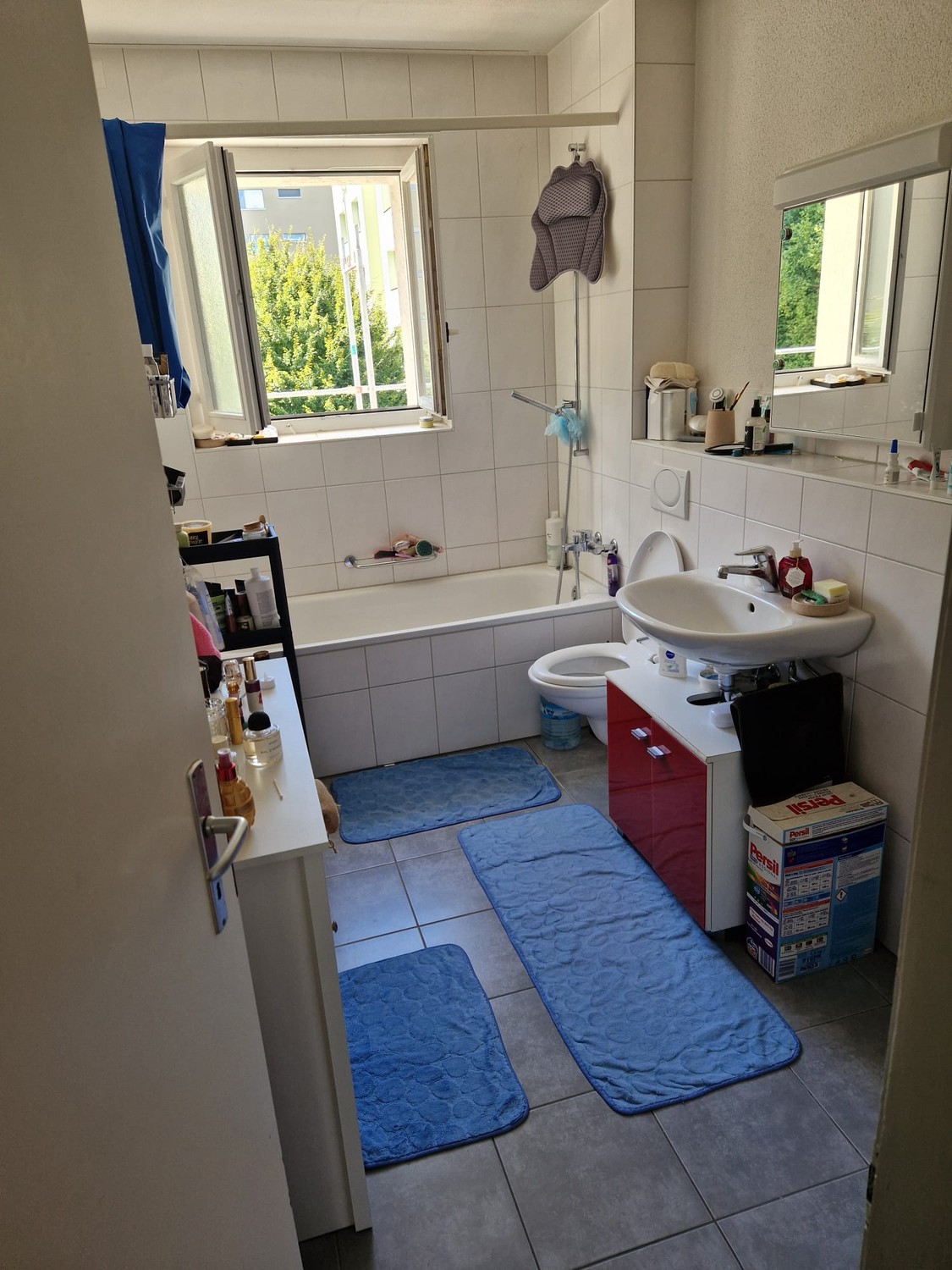 Appartement de 3 ½ pièces