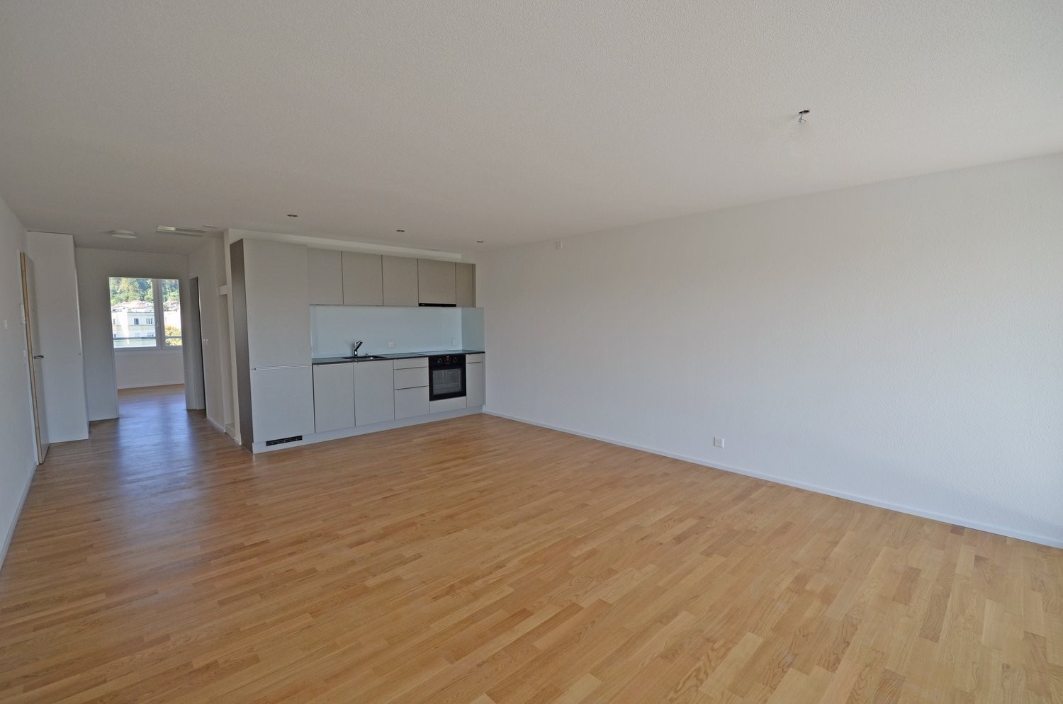 Appartement de 2 ½ pièces