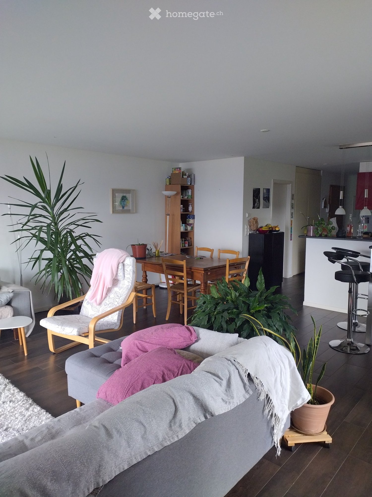 1 room single room