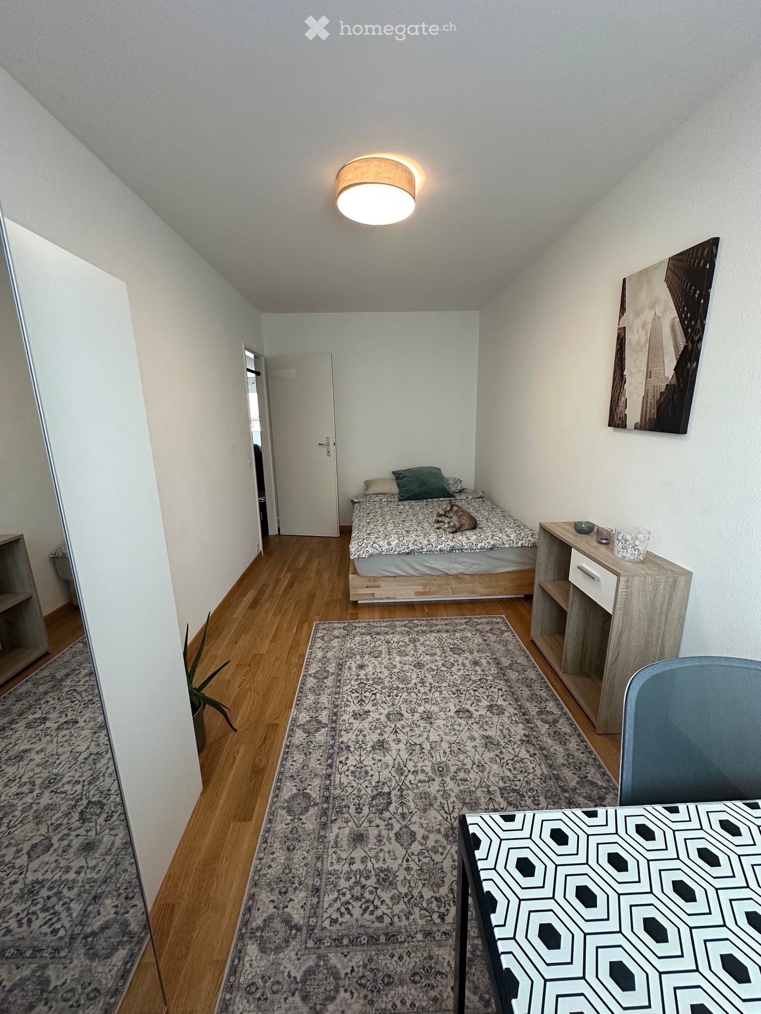 1 room single room