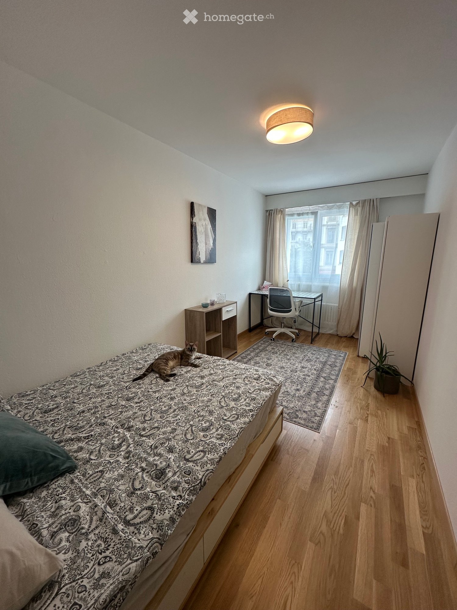 1 room single room