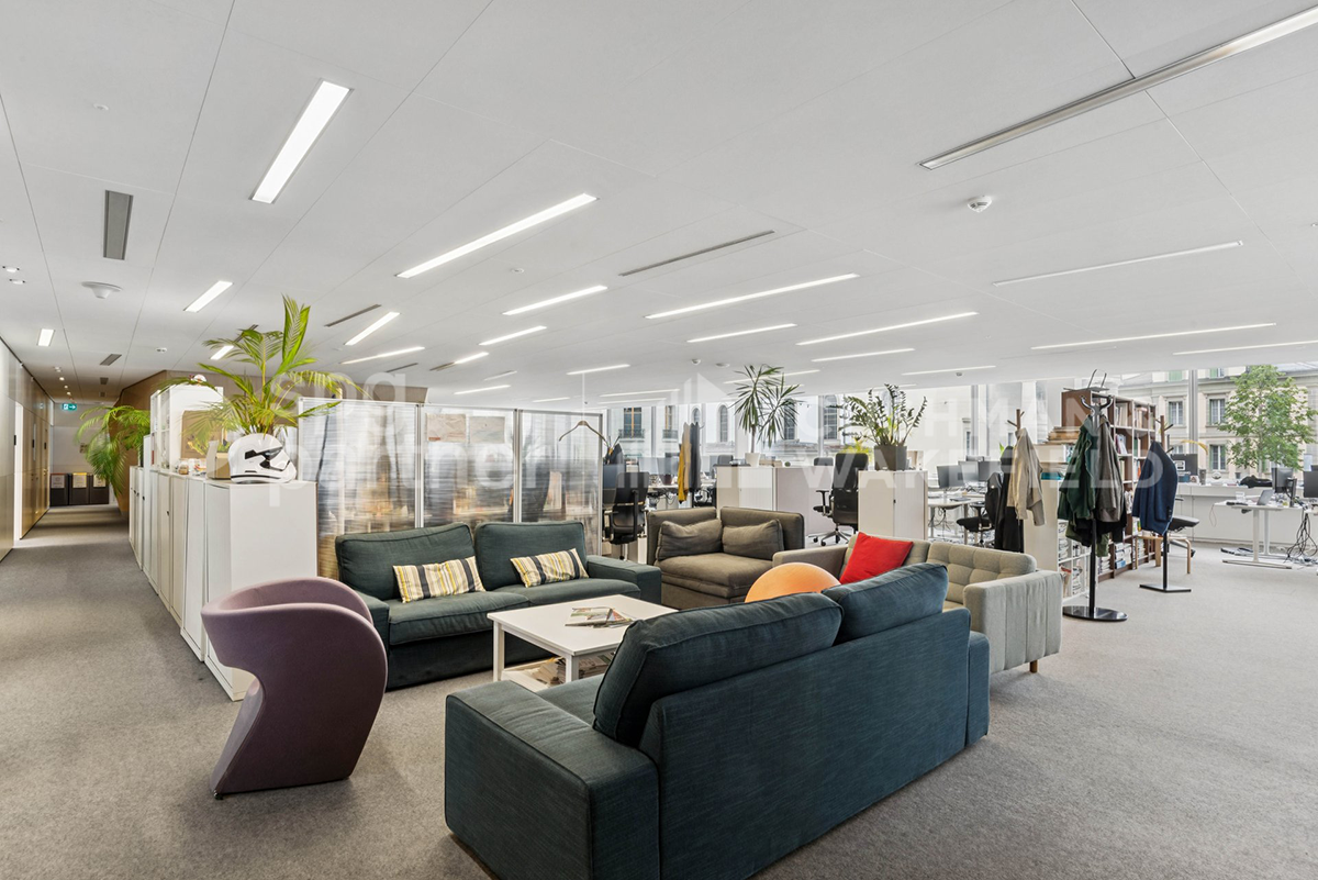 650m² office, photo 4 sur 10