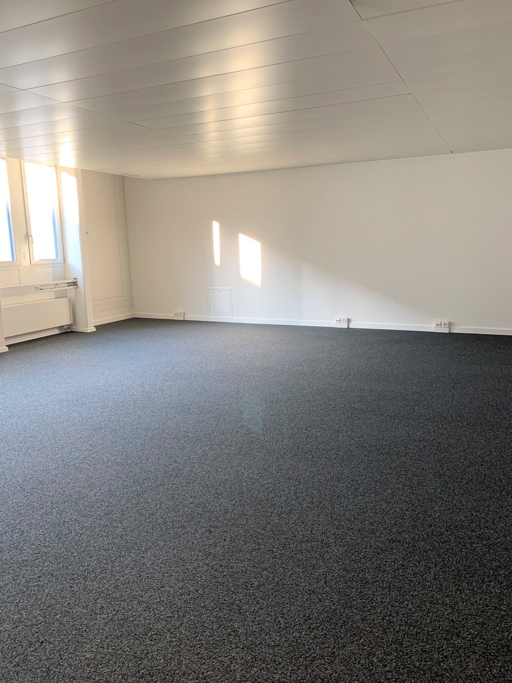193m² office