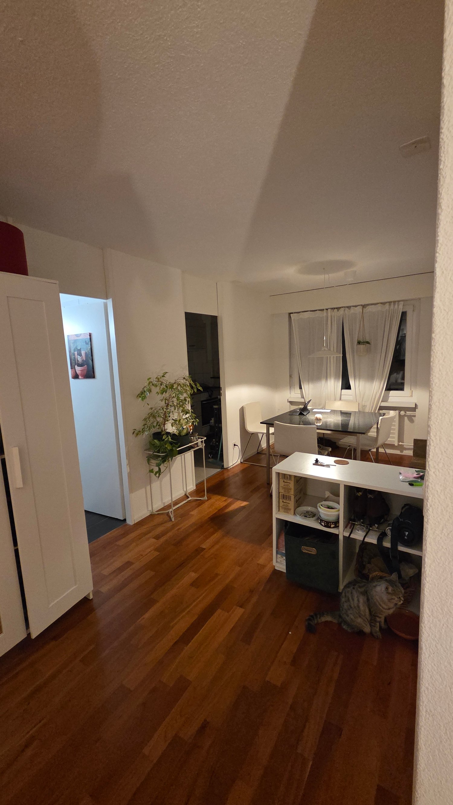 Chambre en colocation