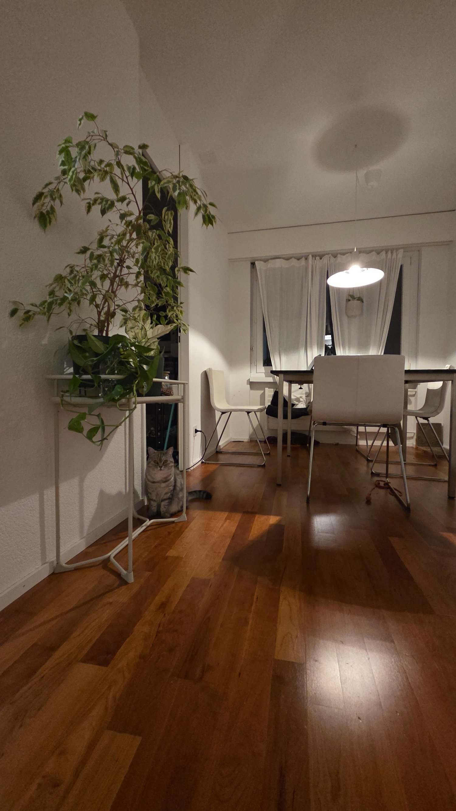 Chambre en colocation
