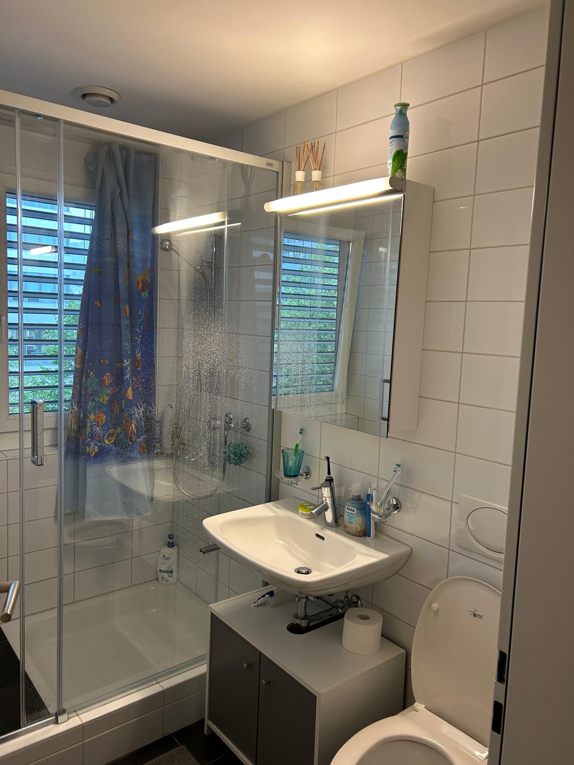 Room in a shared flat