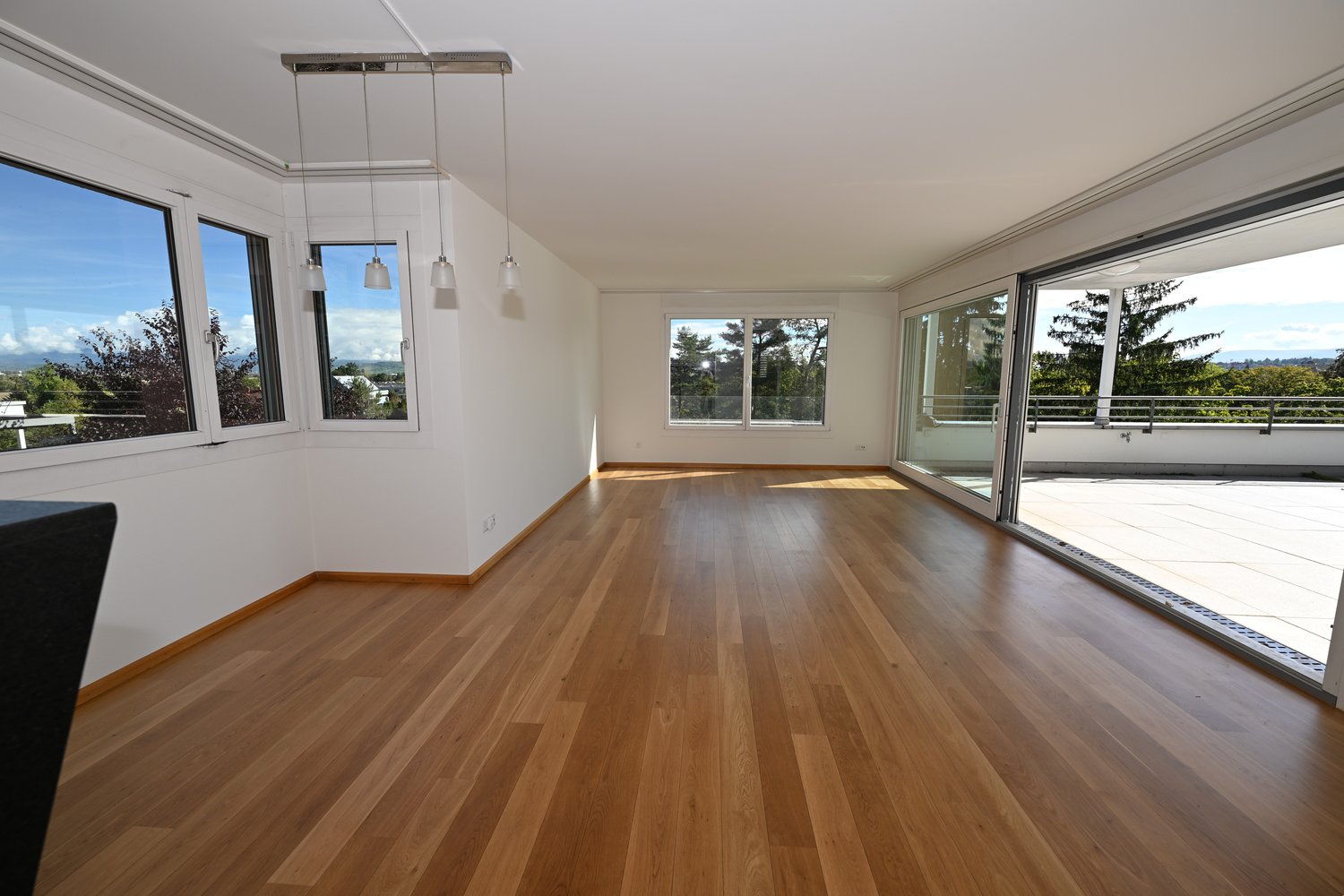 Maison en terrasse de 5 ½ pièces, photo 3 sur 10