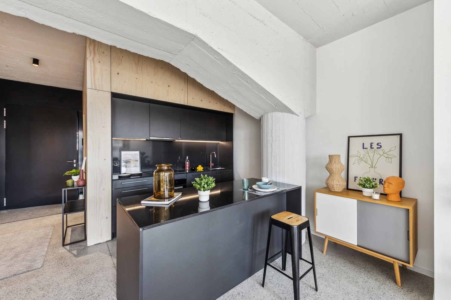 2 ½ rooms apartment, photo 2 sur 9
