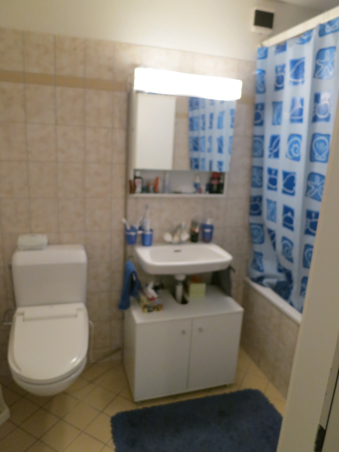 Appartamento di 3 ½ locali