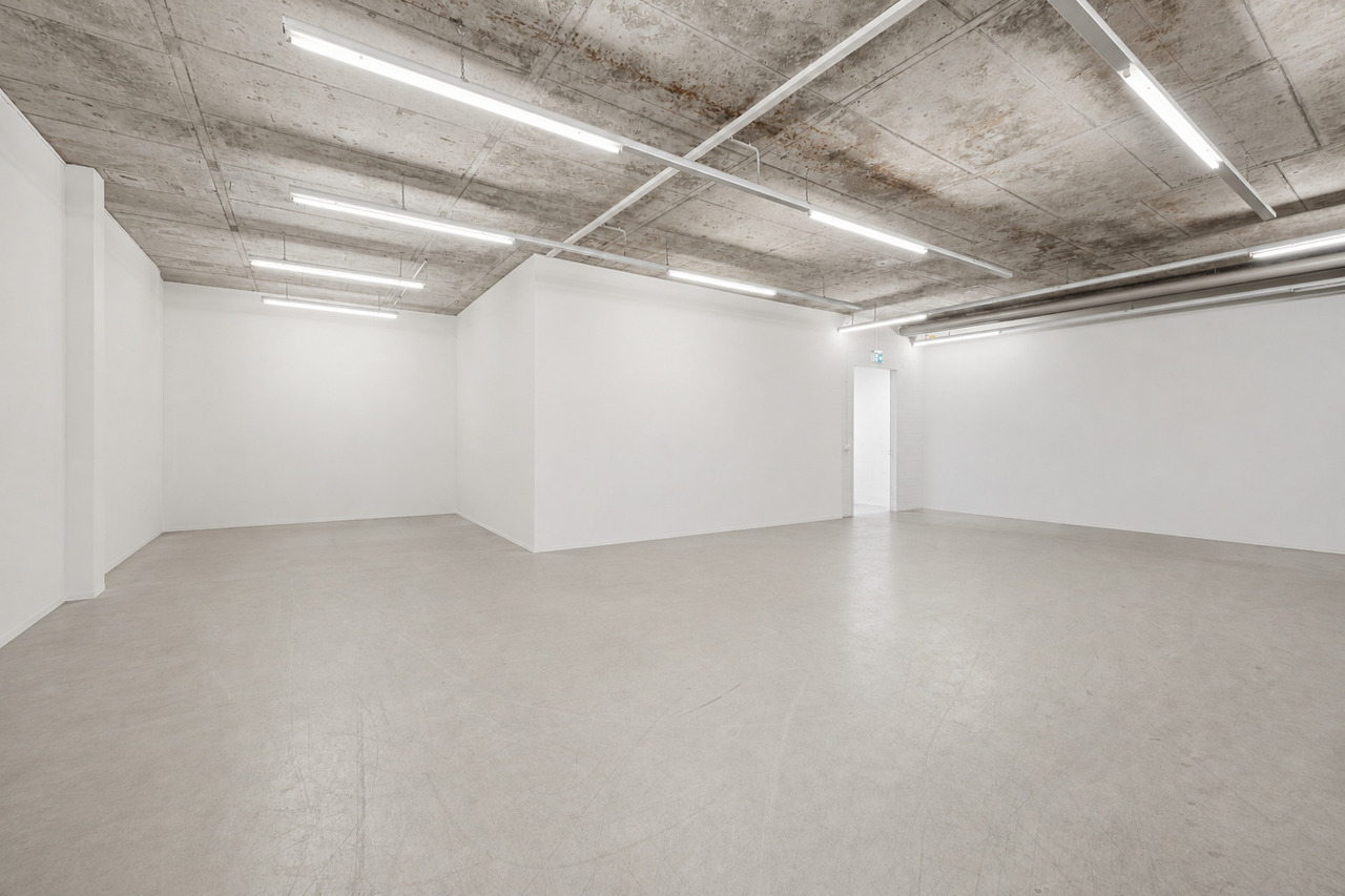 253m² commercial, photo 2 sur 5