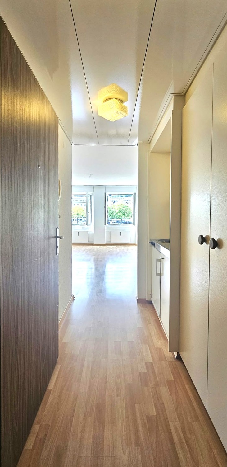 Appartement 1 pièce