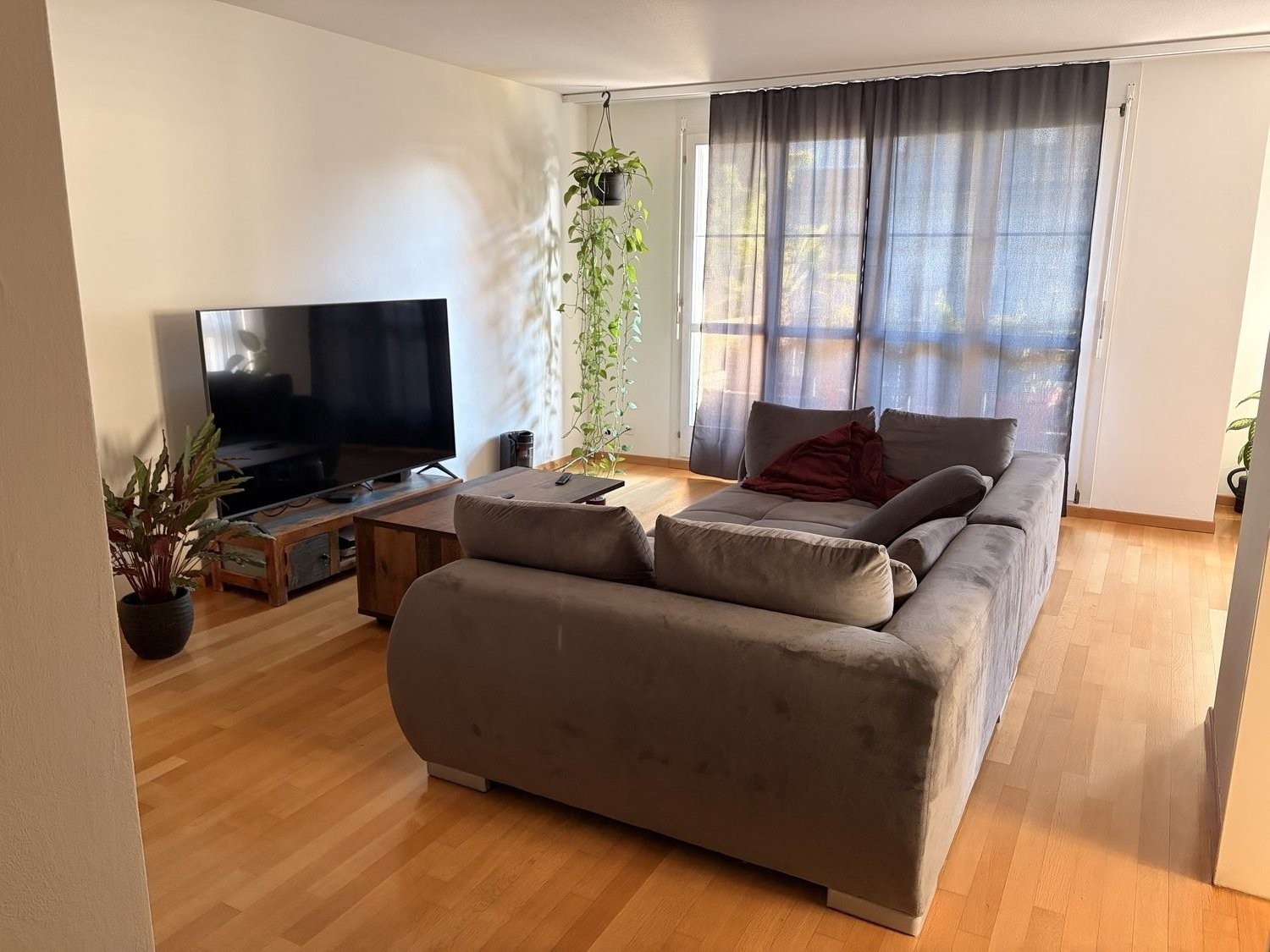 Chambre dans une colocation