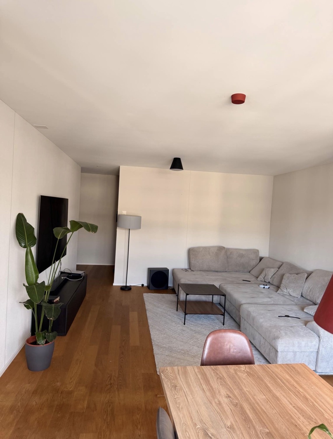 Appartement de 2 ½ pièces, photo 1 sur 7