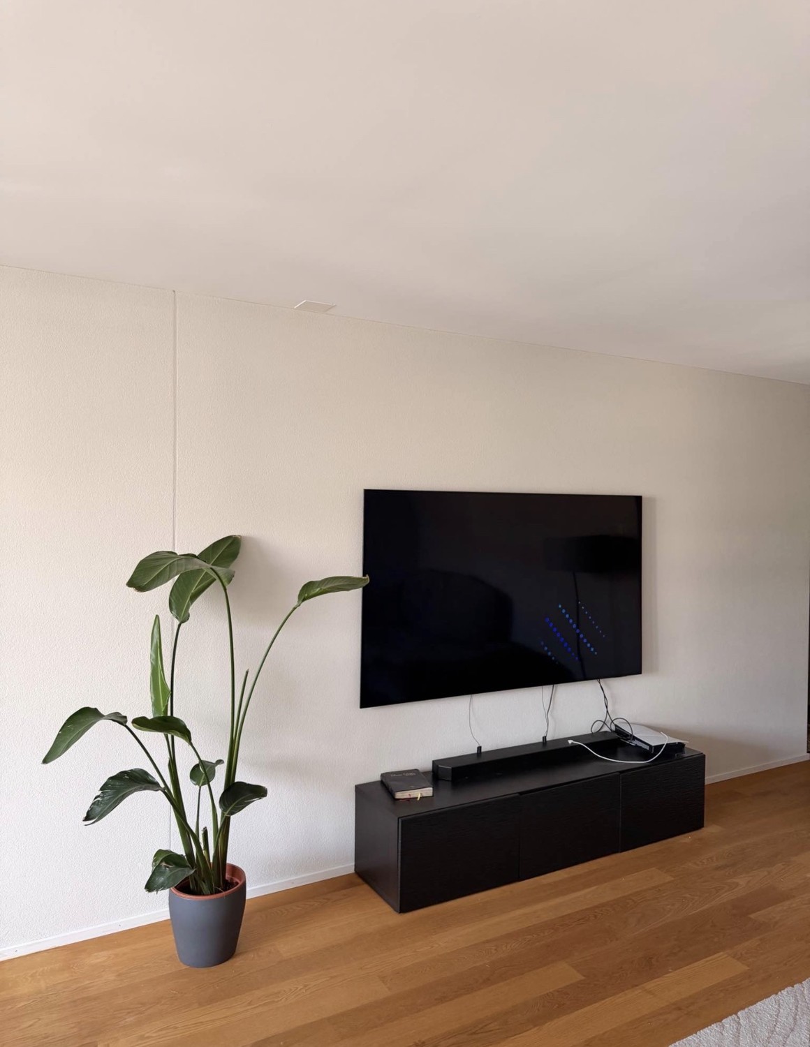 Appartement de 2 ½ pièces, photo 2 sur 7