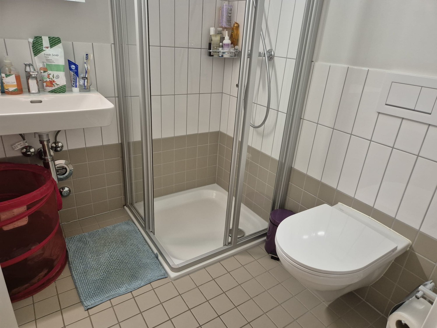 4 ½ rooms apartment