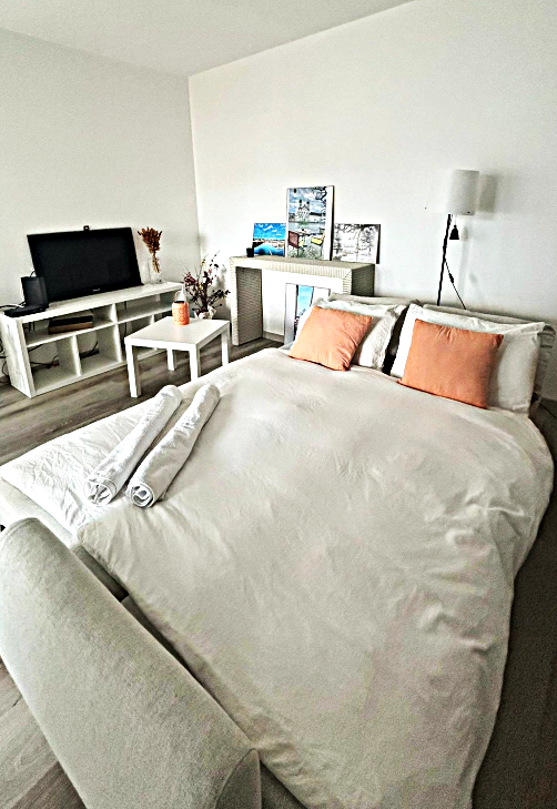 Appartement 1 ½ pièces, photo 1 sur 6
