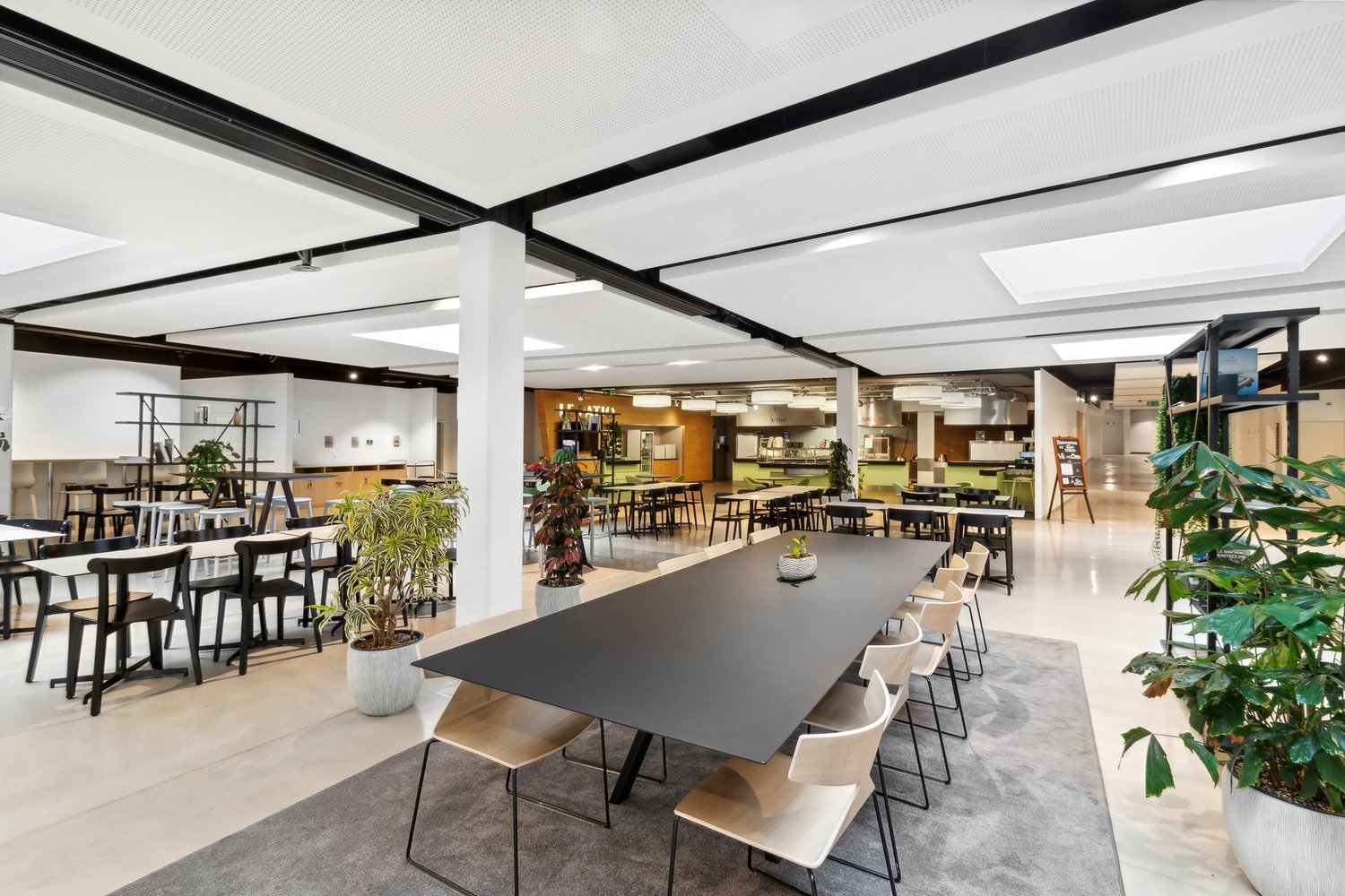 256m² office