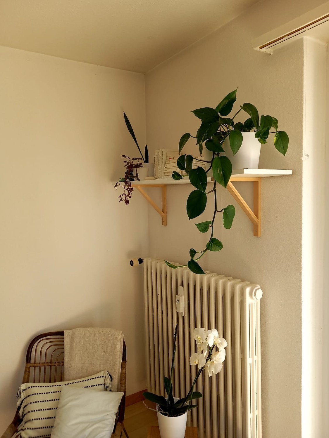 Chambre en colocation, photo 4 sur 6
